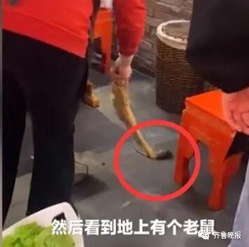 武汉刘女士最新爆料,揭秘XX事件背后惊人真相