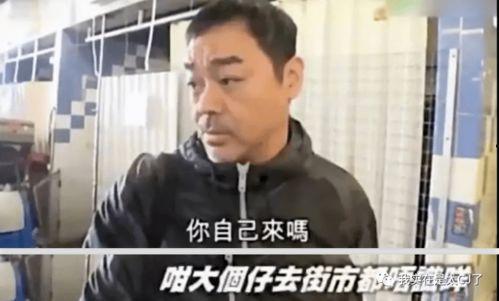 疫情期间娱乐圈怎么吃瓜,瓜田李下,明星们的“宅家”生活揭秘